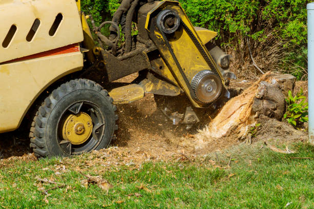 Best Lawn Drainage Solutions  in William Paterson University Of New Jersey, NJ