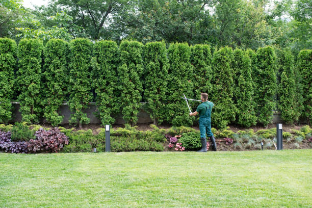Best Pest Control for Lawns  in William Paterson University Of New Jersey, NJ